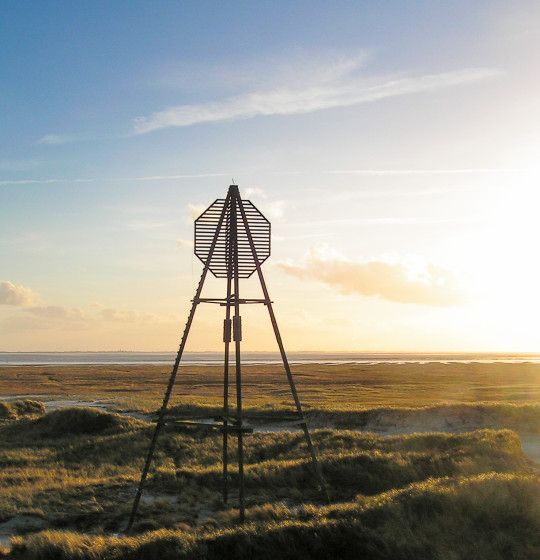 Kunstliebhaber - VVV Ameland