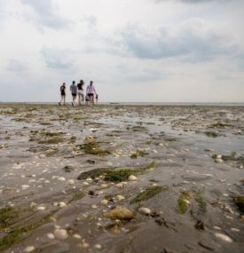 Herbst auf Ameland - VVV Ameland