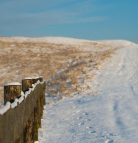 10-mal die schönsten Aktivitäten auf Ameland während der Weihnachtsferien - VVV Ameland