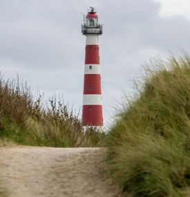 Wald-, Strand- und Leuchtturmausflug - VVV Ameland