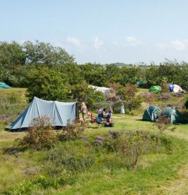 Kampeer - Last-minutes VVV Ameland