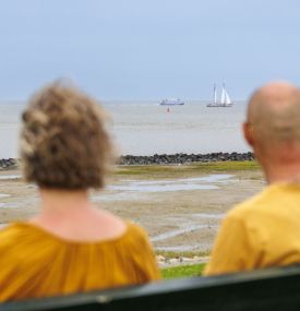 de Waddenzeedijk - VVV Ameland