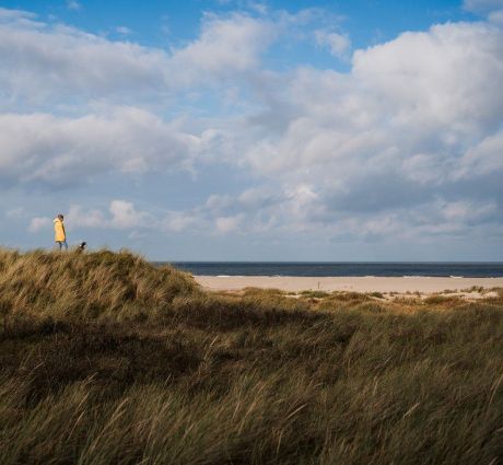 Herbst auf Ameland - VVV Ameland