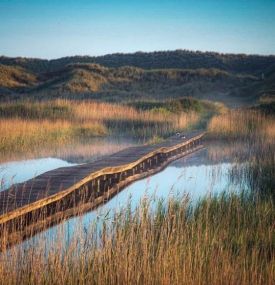 Kunstmonat-Arrangement - VVV Ameland