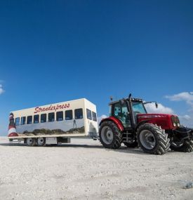 Strandfahrten - VVV Ameland