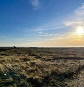 Bureblinkert - VVV Ameland