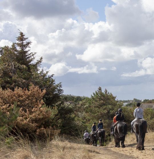 Herbst auf Ameland - VVV Ameland