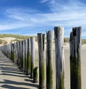 Zeit für sich selbst? Zeit für Ameland! - VVV Ameland