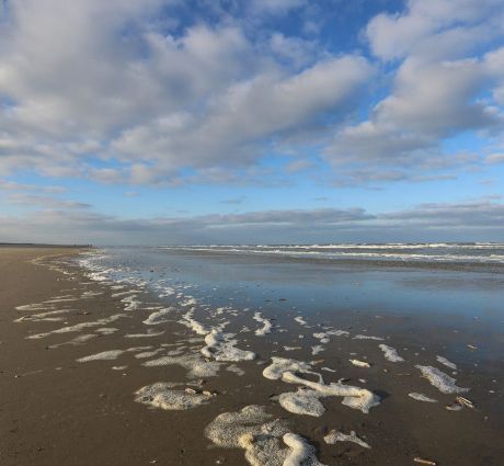 Wie soll man sich verhalten? - VVV Ameland