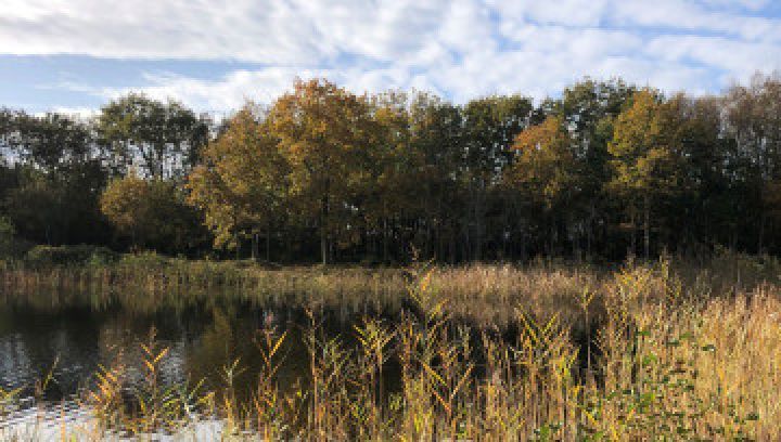 Herbst auf Ameland - VVV Ameland