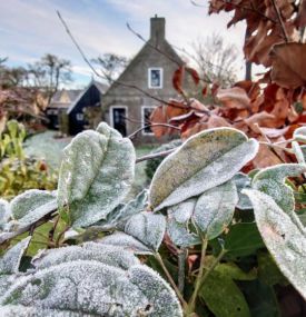 10-mal die schönsten Aktivitäten auf Ameland während der Weihnachtsferien - VVV Ameland