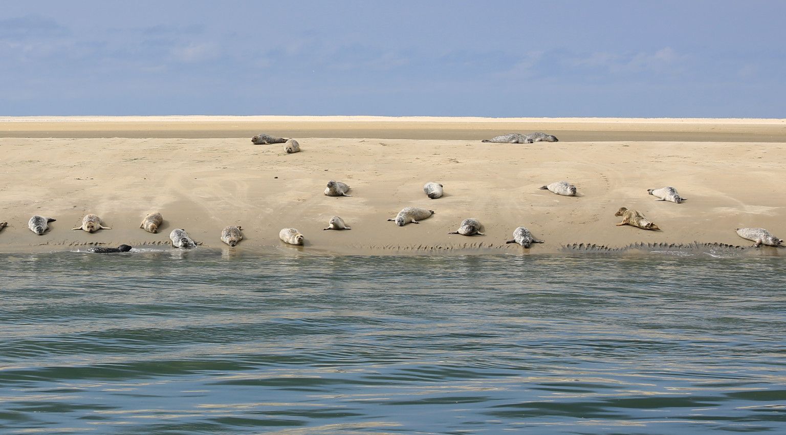 Inselhopping - VVV Ameland