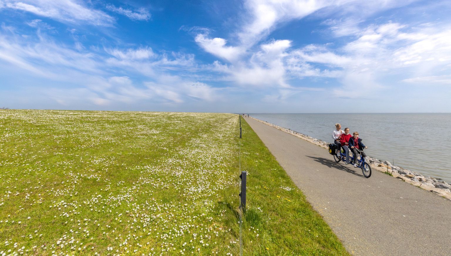 Bewegungstipps und gute Vorsätze auf Ameland - VVV Ameland