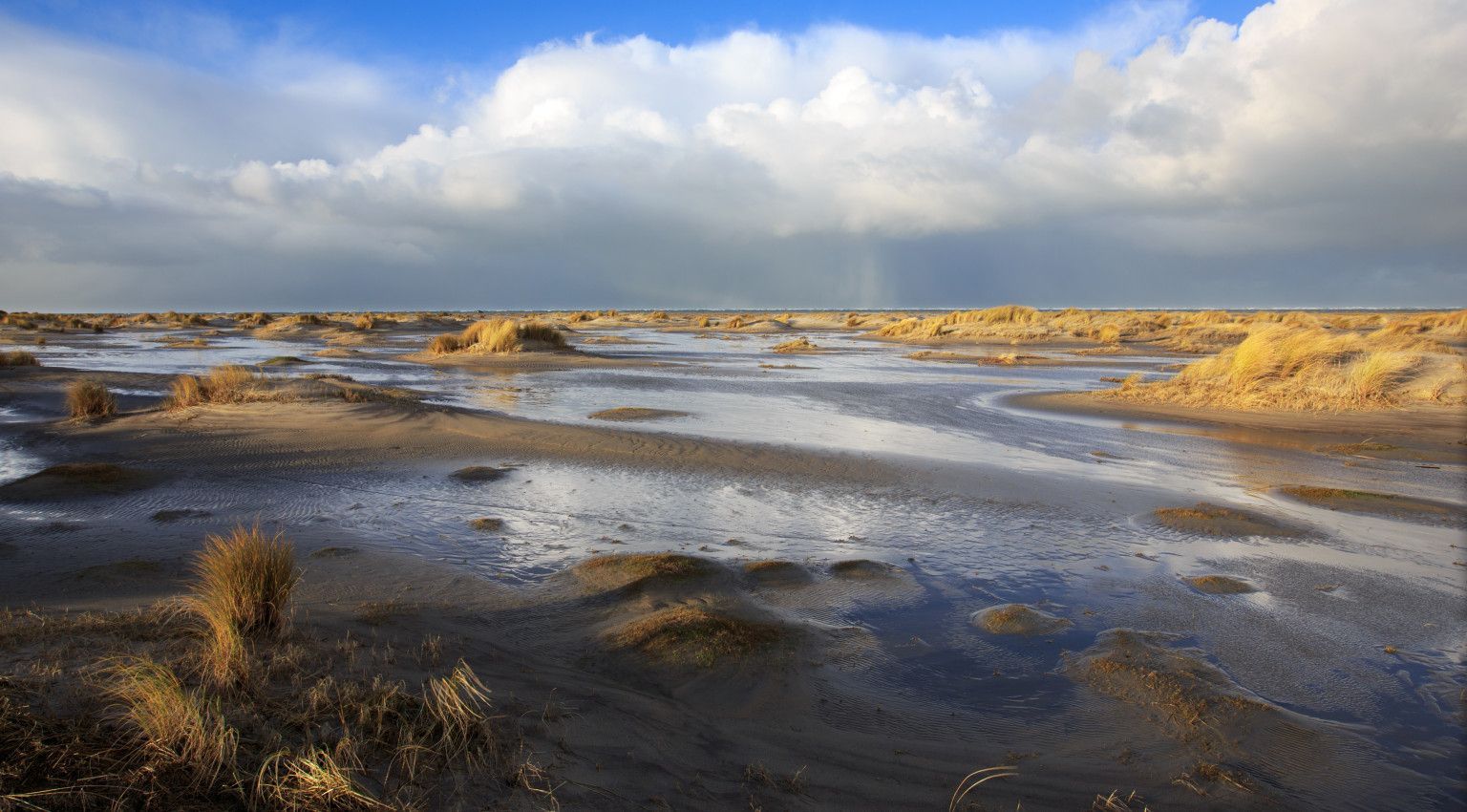 Oerd und Hôn - VVV Ameland