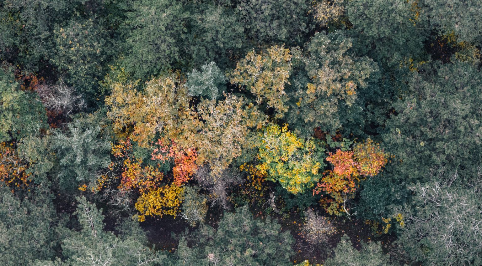 Herbst auf Ameland - VVV Ameland