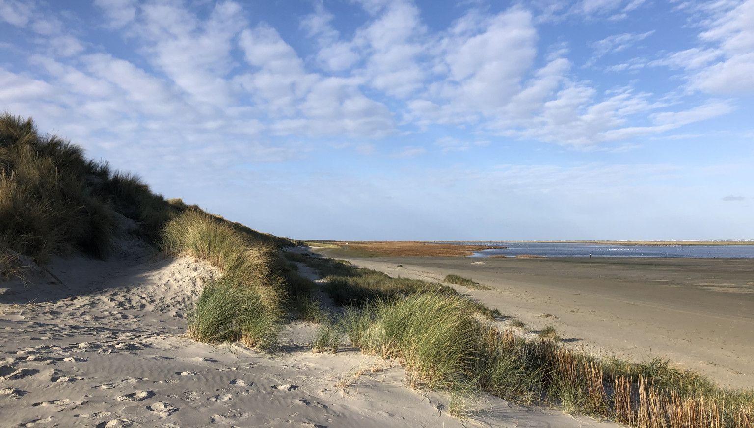 Groene strand - VVV Ameland