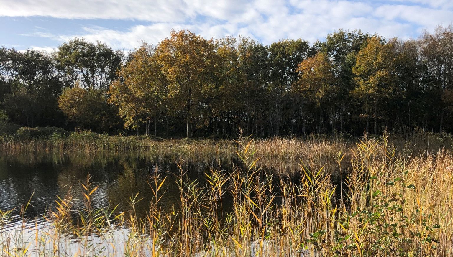 Herbst auf Ameland - VVV Ameland