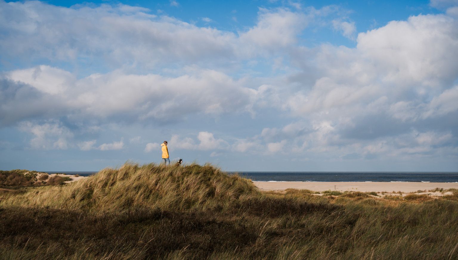 Gute Vorsätze? Fangen Sie auf Ameland an! - VVV Ameland