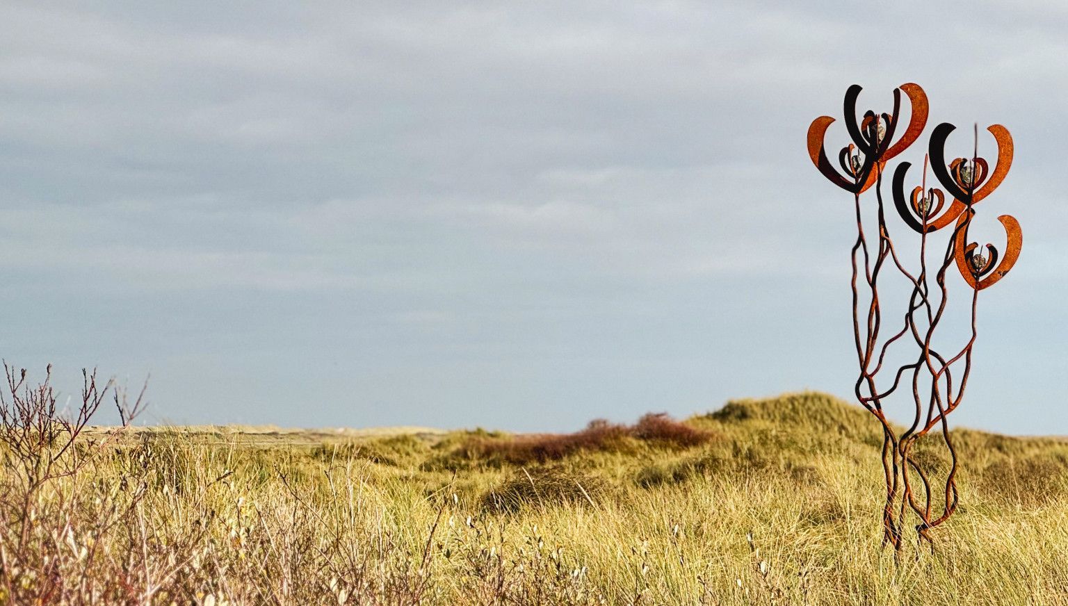 Kunstmonat Ameland - VVV Ameland