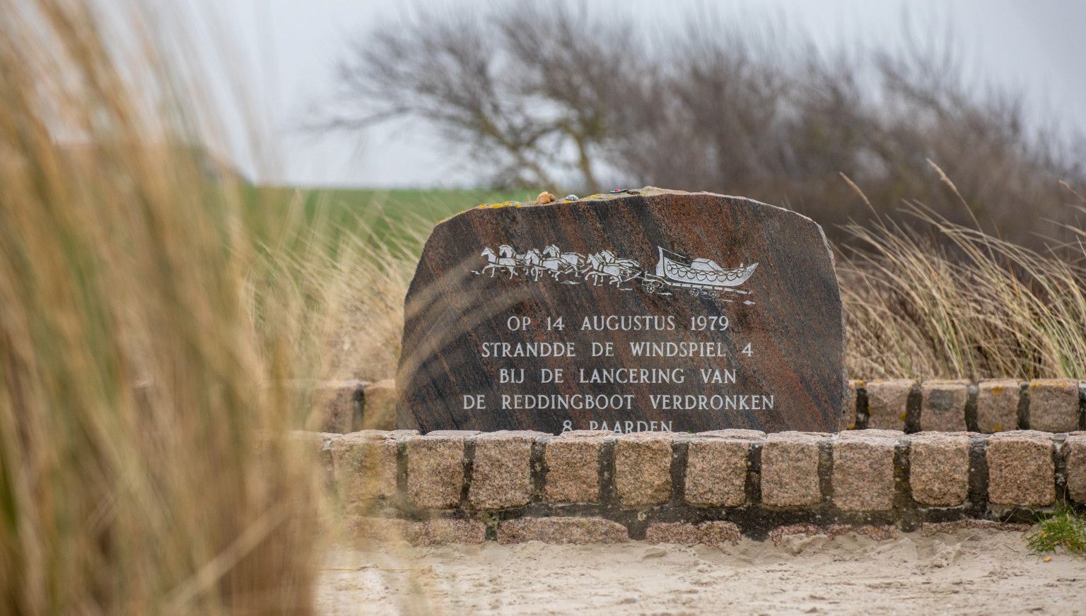 Vorführung des Pferderettungsbootes - VVV Ameland