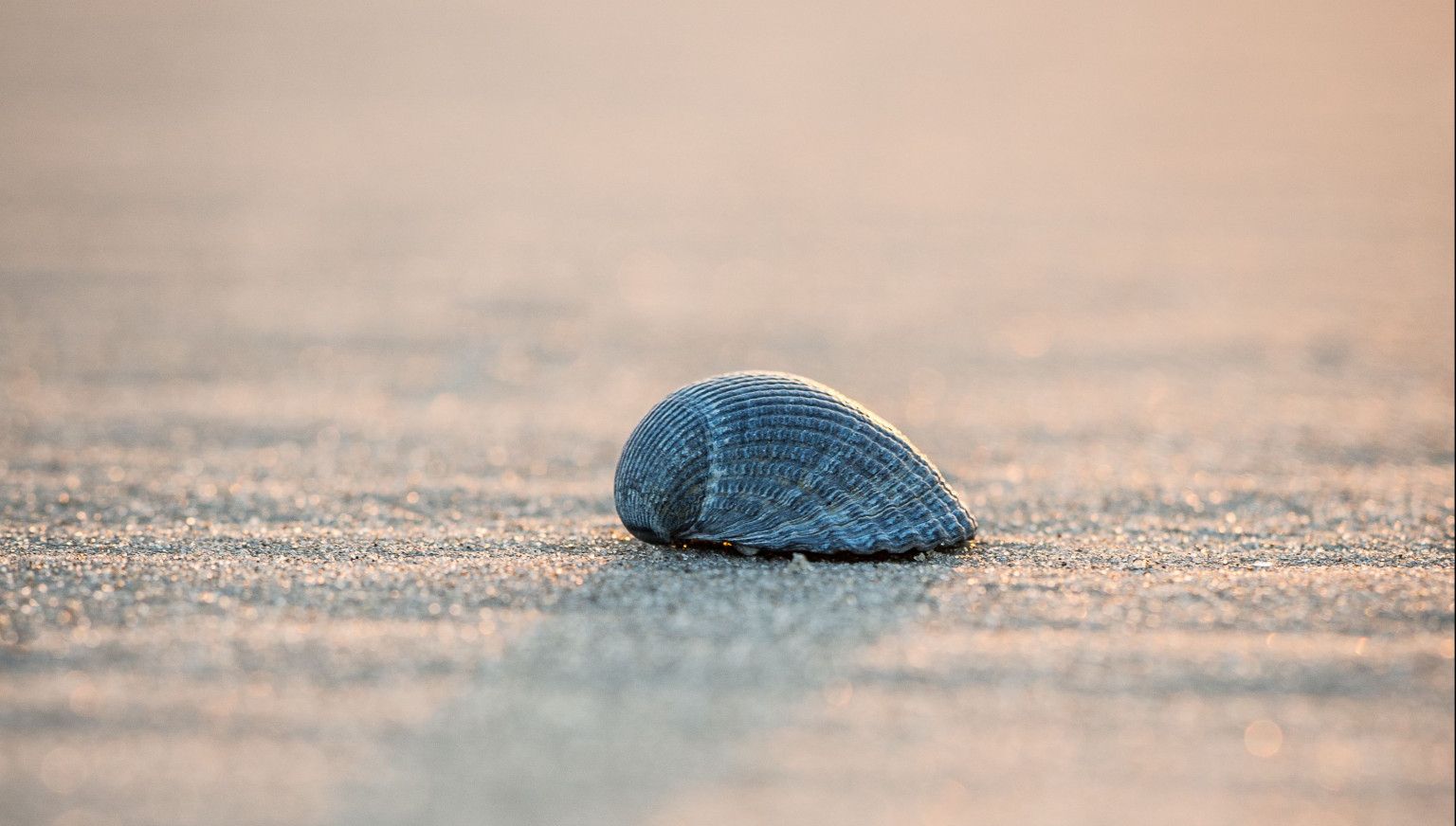 Ameland im Winter: Ruhe, Weite und Gemütlichkeit – 7 Tipps  - VVV Ameland