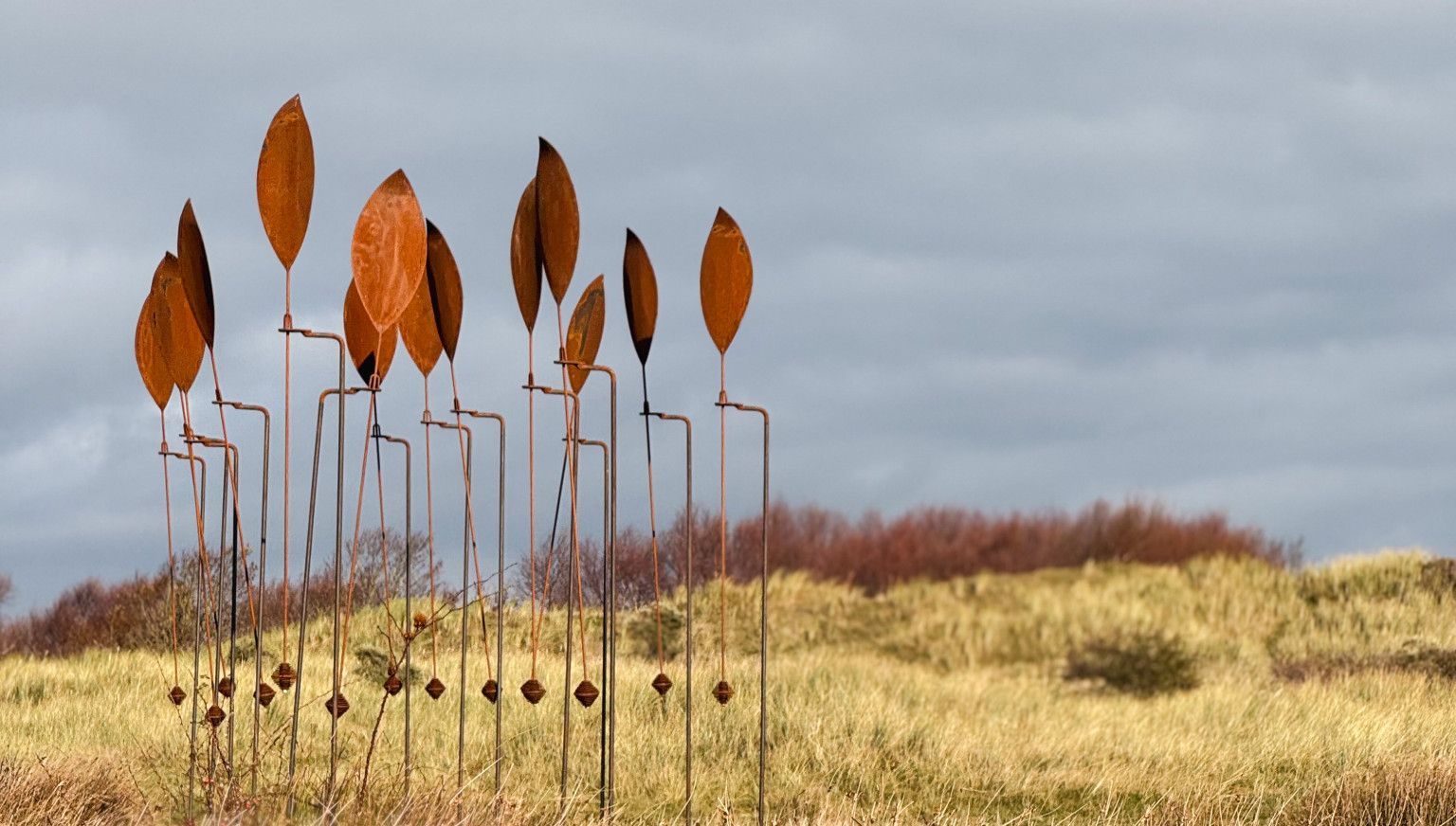 November Kunstmaand - VVV Ameland