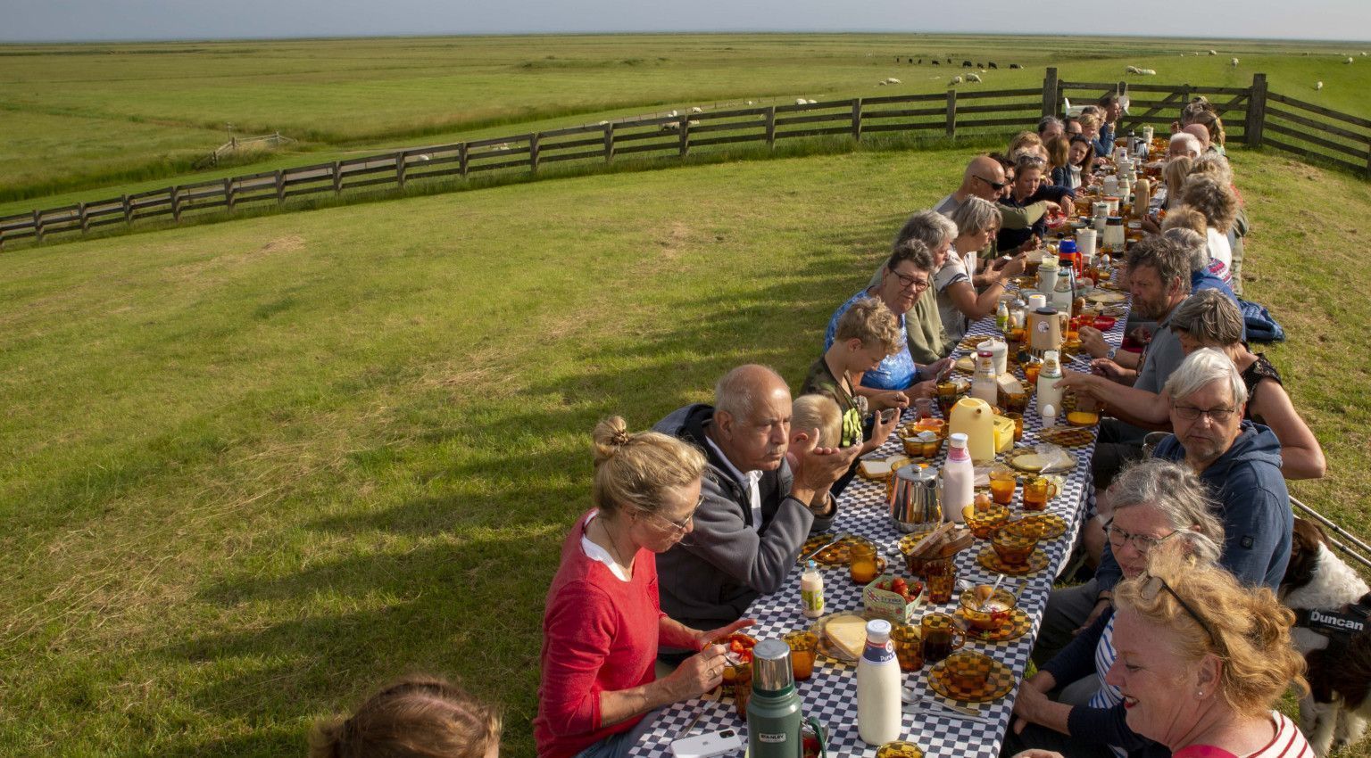 Tag des Wattenmeeres - VVV Ameland