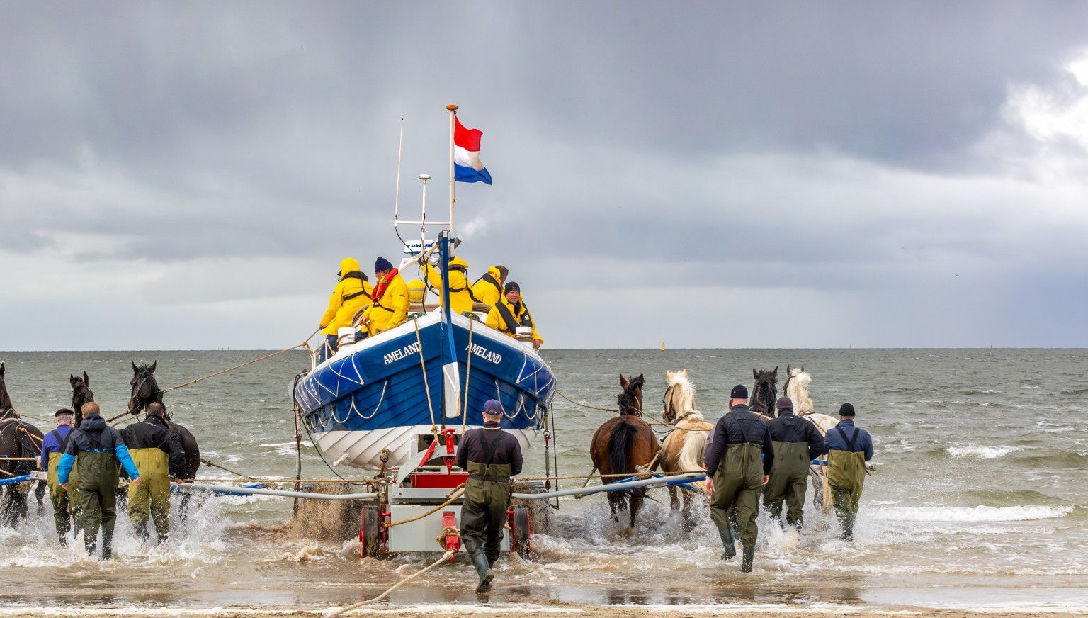 Vorführung des Pferderettungsbootes - VVV Ameland