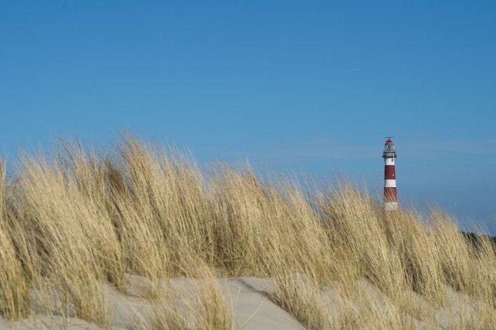 Gruppenhäuser Hollum - VVV Ameland