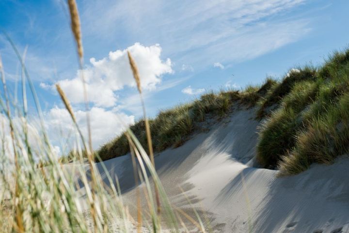 Ferienhäuser Hollum 5 - 6 Personen - VVV Ameland