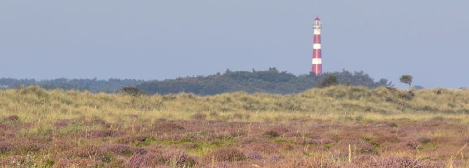 Häufig gestelte Fragen über Gruppen auf Ameland - VVV Ameland.