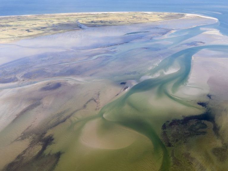 Film 'WATT, Überleben auf der Grenze von Wasser und Land' - VVV Ameland