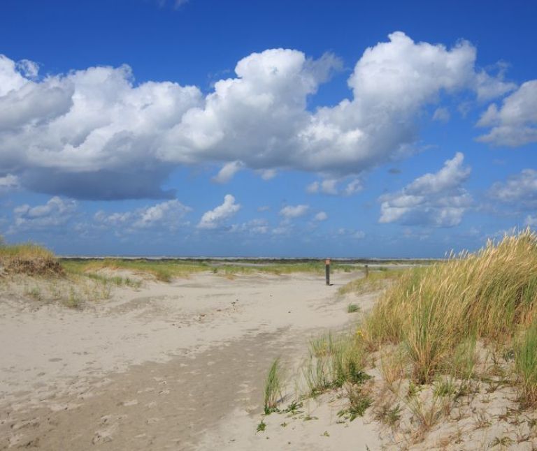 Der Grüne Strand - VVV Ameland