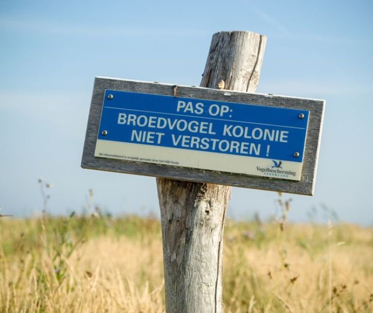 Der Grüne Strand - VVV Ameland