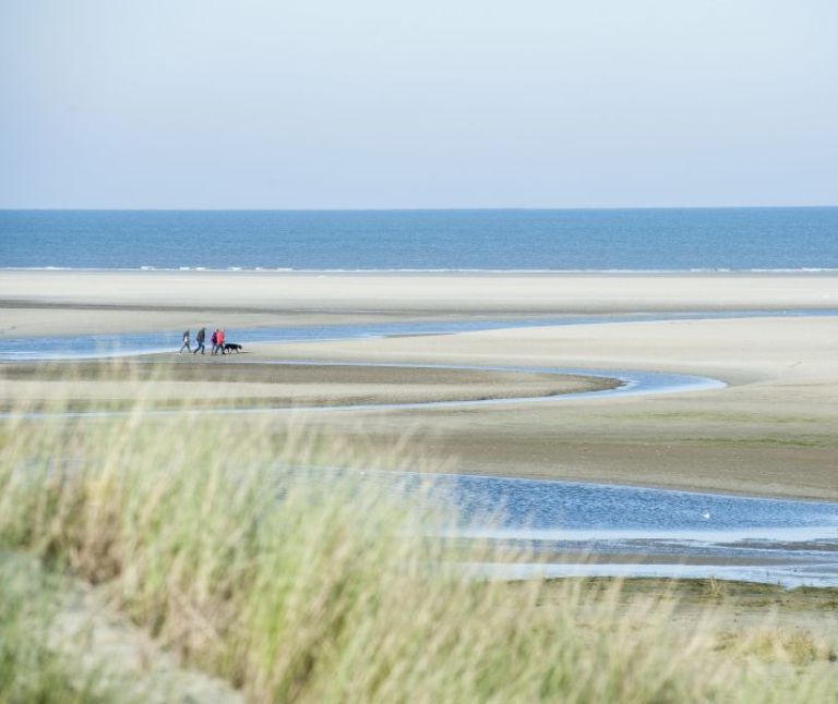 Der Grüne Strand - VVV Ameland