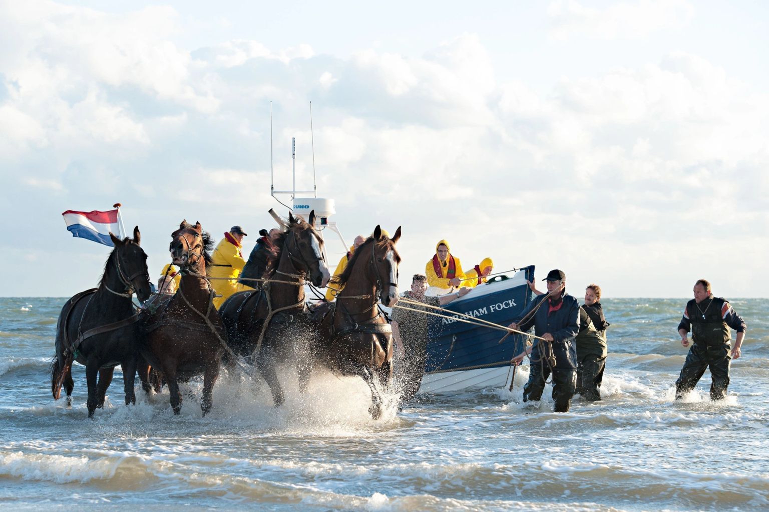 Robbenfahrt und Vorführung Pferderettungsboot