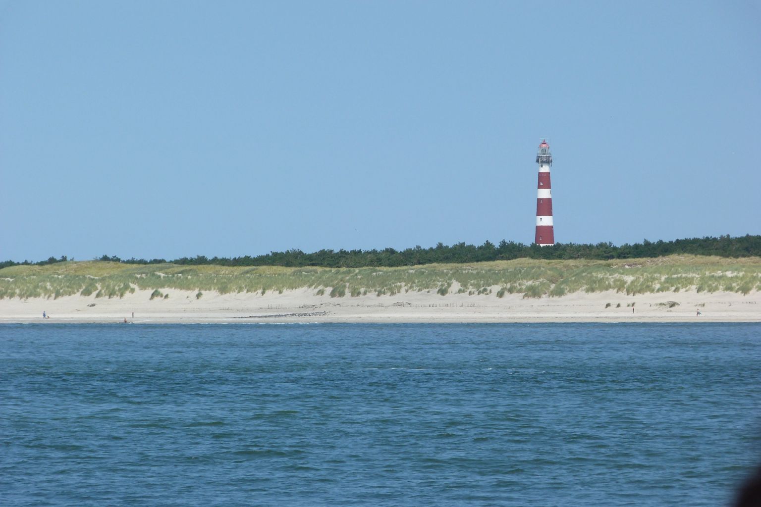 Bootsfahrt zu den Robben und Muschelbank Ms Zeehond