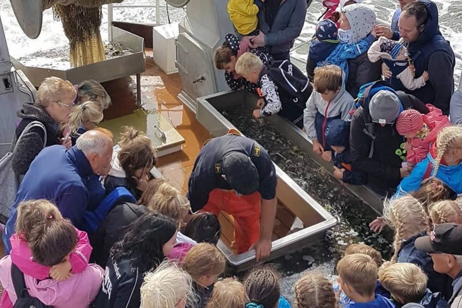 Expedition Wattenmeer + Muschelbank