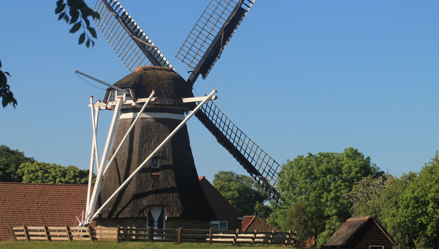 Korenmolen De Phenix - VVV Ameland