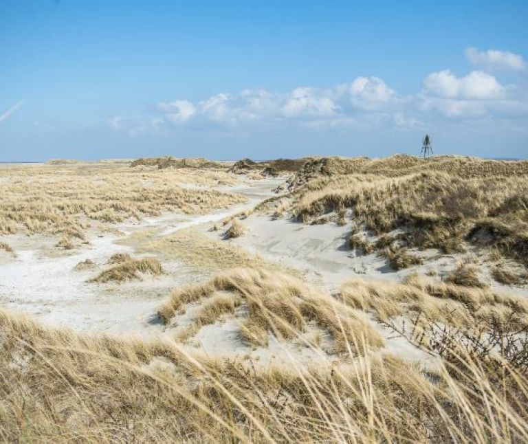 Natur - VVV Ameland