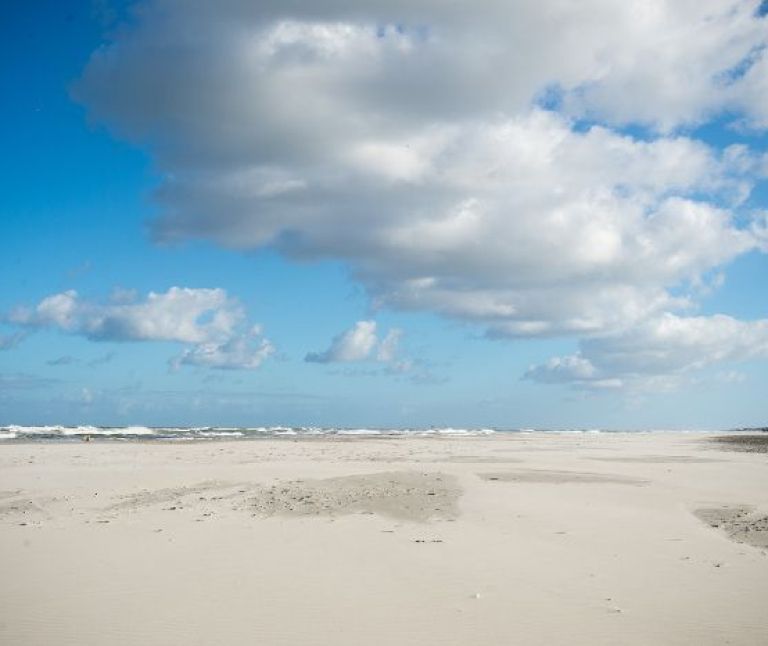 Natur - VVV Ameland