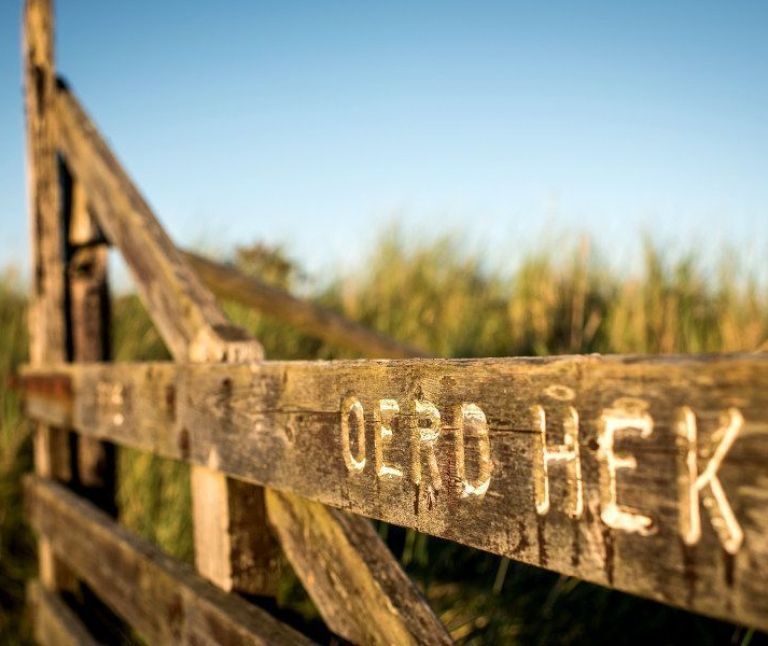 Oerd und Hôn auf Ameland