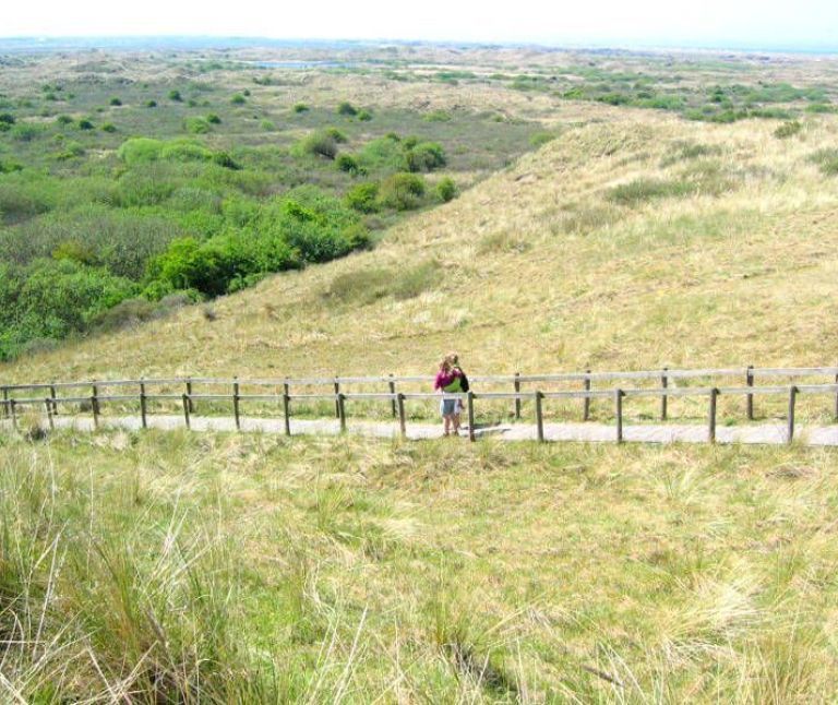 Oerd und Hôn auf Ameland