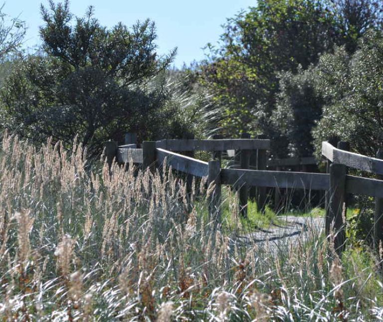 Oerd und Hôn auf Ameland