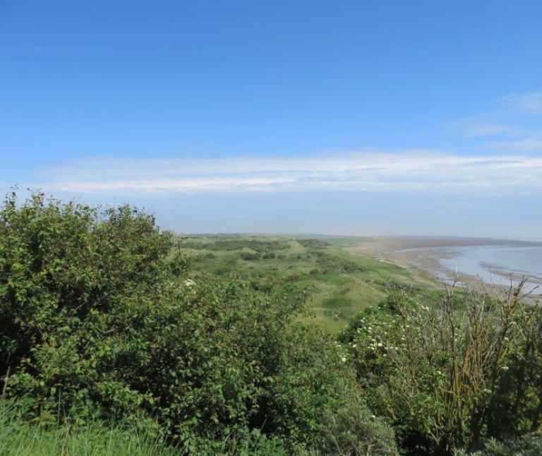 Oerd und Hôn auf Ameland