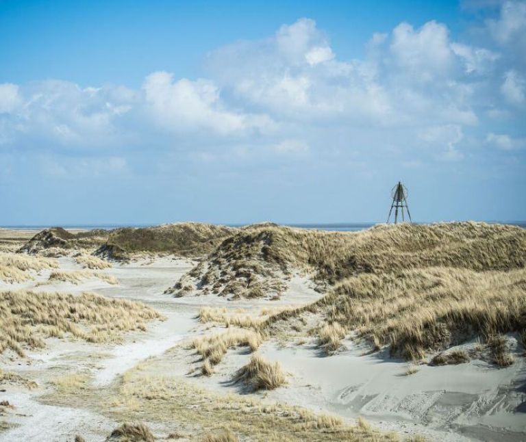 Oerd und Hôn auf Ameland