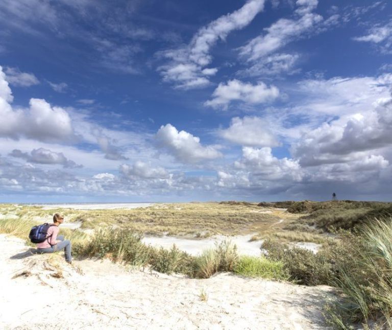 Oerd und Hôn auf Ameland