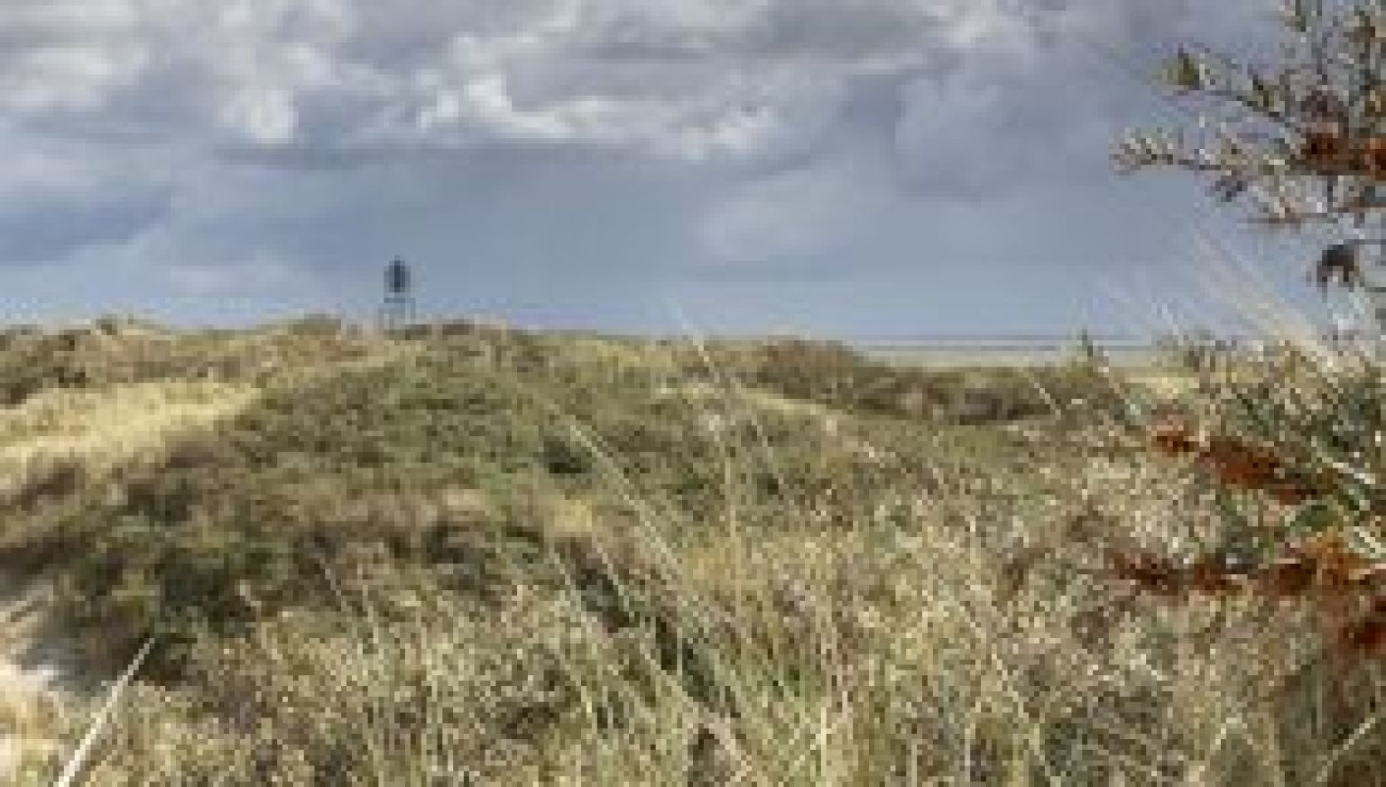 Oerd und Hôn auf Ameland