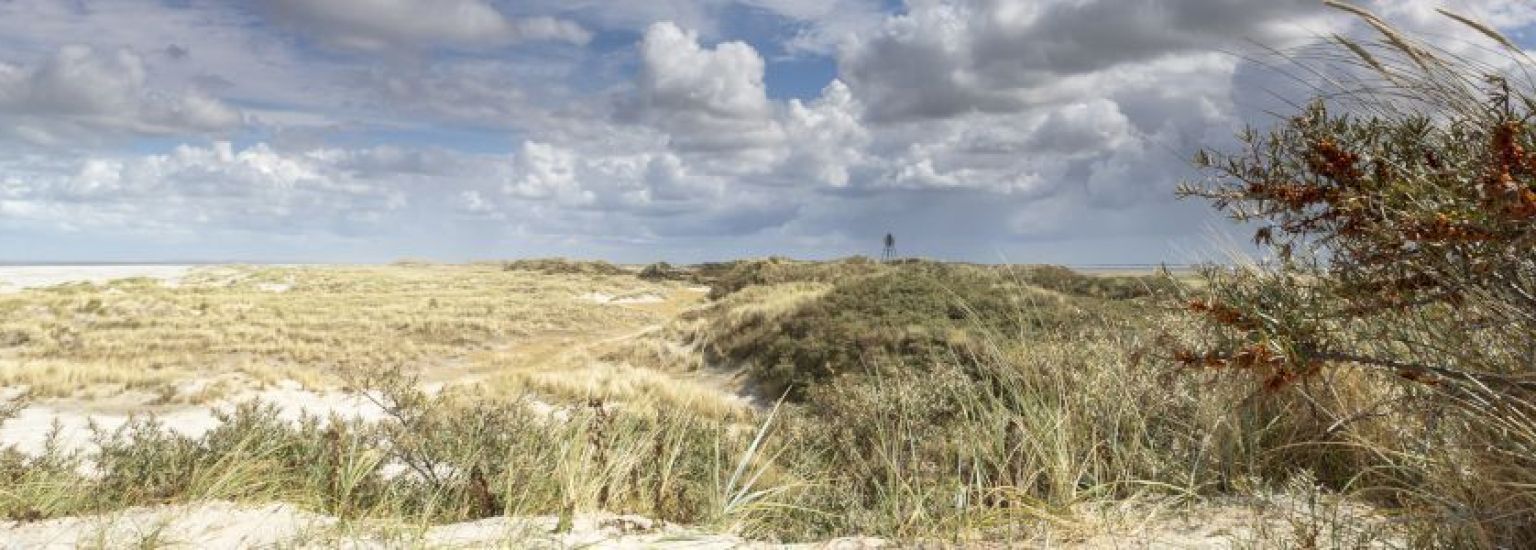 Oerd und Hôn auf Ameland