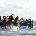 Vorführung des Pferderettungsbootes - VVV Ameland